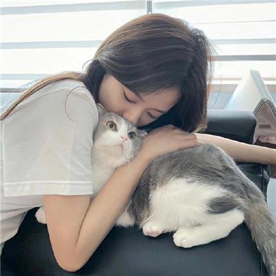 狗脸的日子